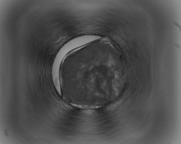 X0000091850432200709261211