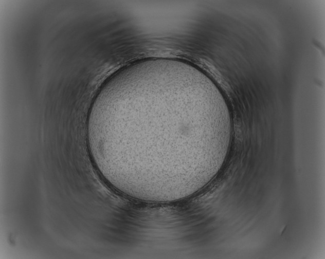 X0000091850433200709261210