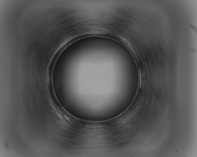 X0000091850435200709261210