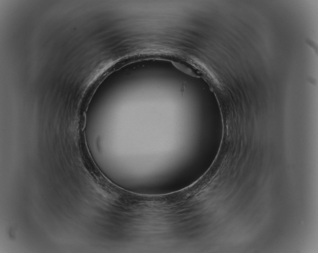 X0000091850436200709261210