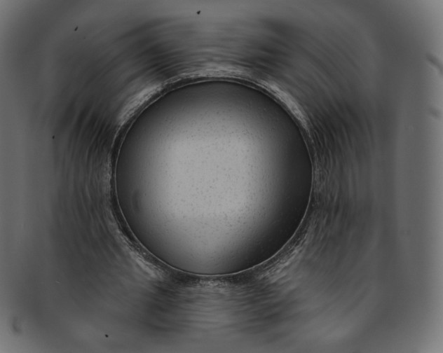 X0000091850437200709261210