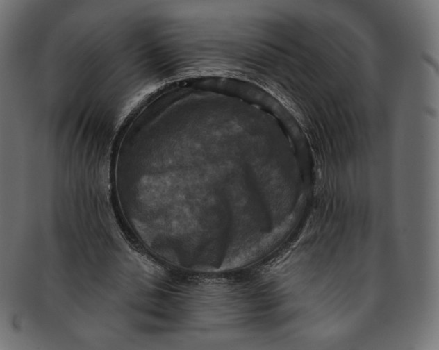 X0000091850438200709261210