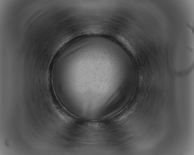 X0000091850439200709261210