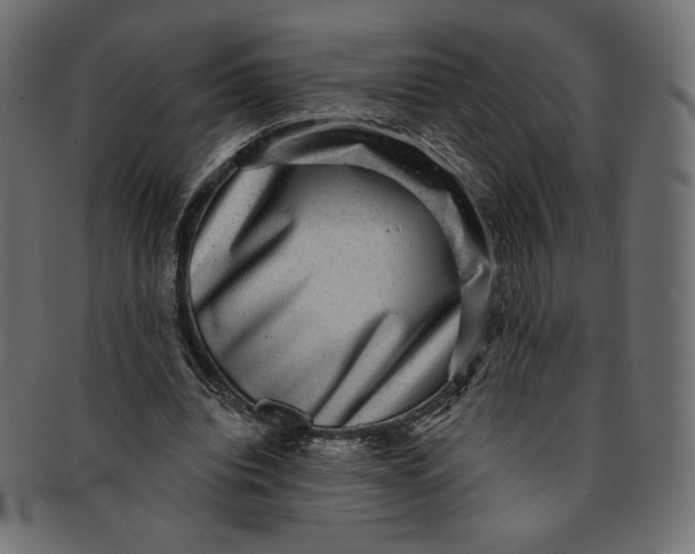 X0000091850440200709261210