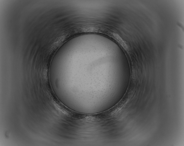 X0000091850441200709261210