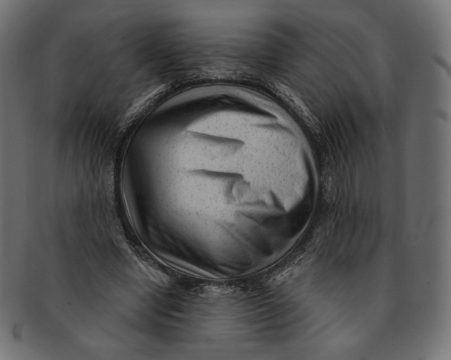 X0000091850442200709261210