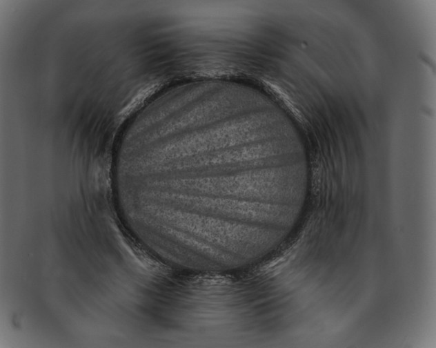 X0000091850443200709261210