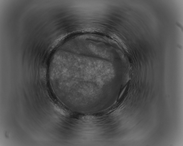 X0000091850444200709261210