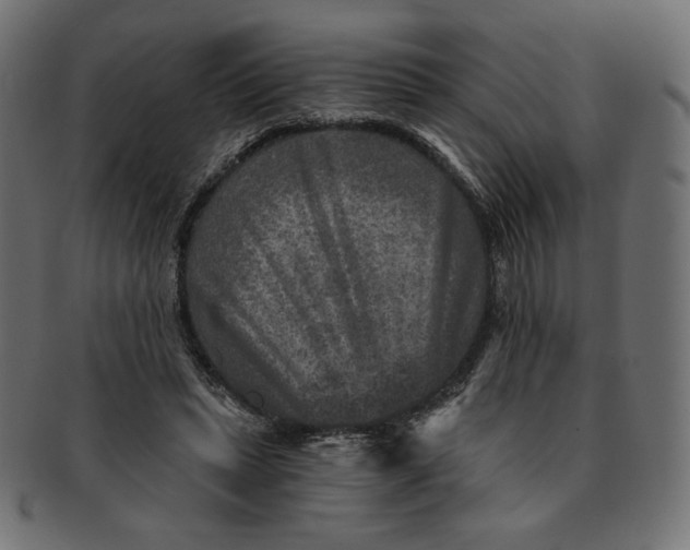 X0000091850447200709261210