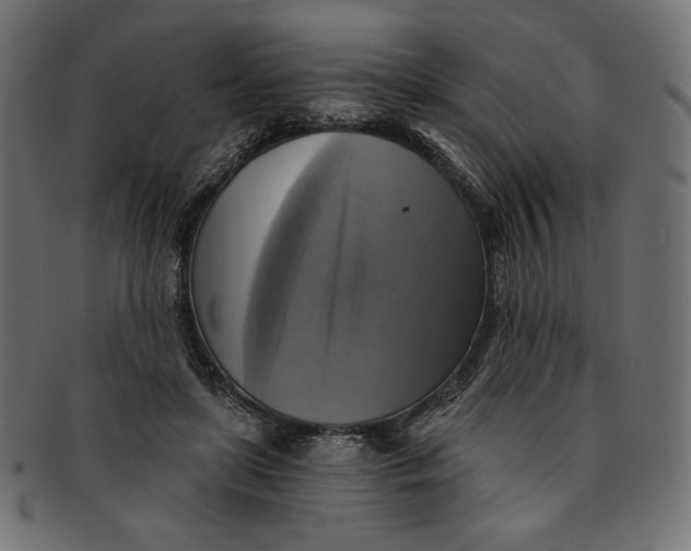 X0000091850451200709261210