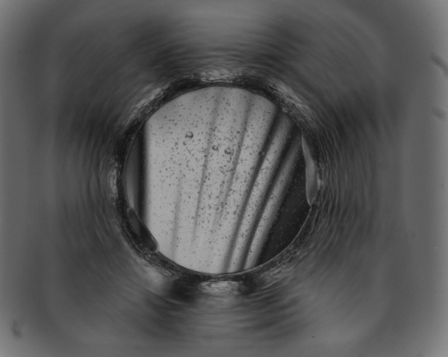 X0000091850452200709261210