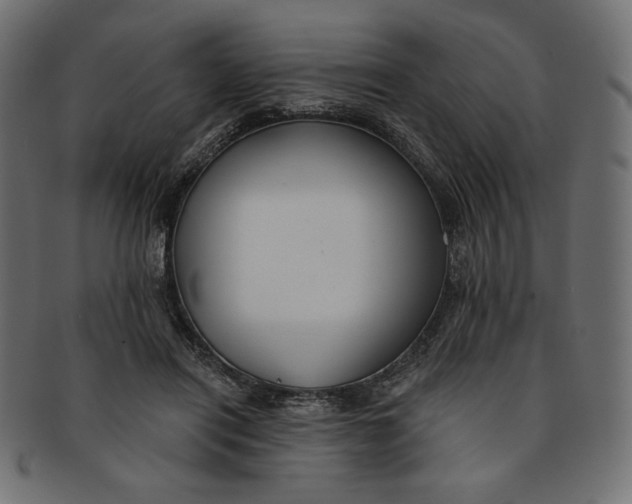 X0000091850454200709261210