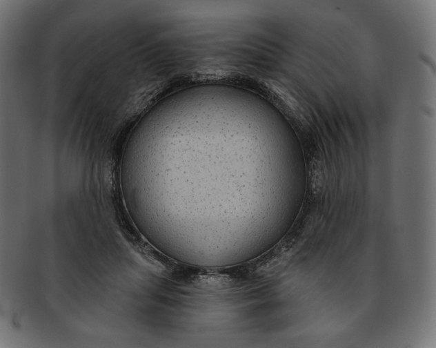 X0000091850455200709261210