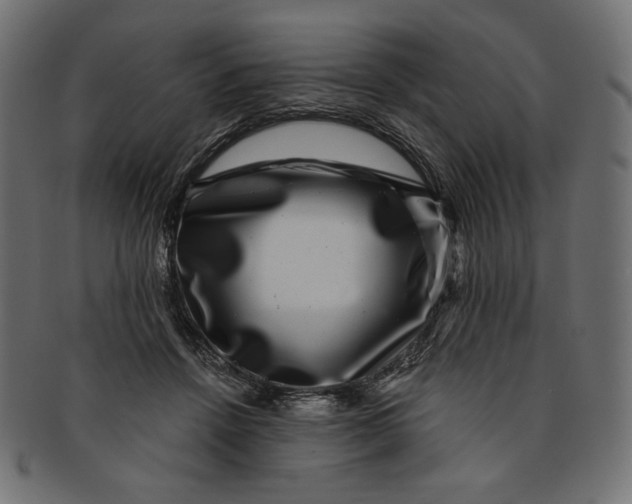 X0000091850456200709261210