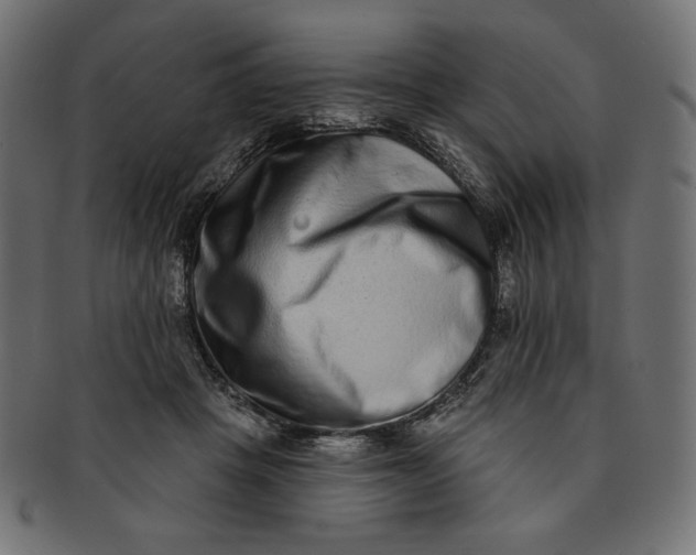 X0000091850457200709261210