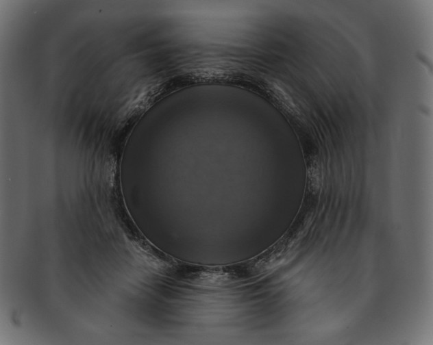 X0000091850458200709261210