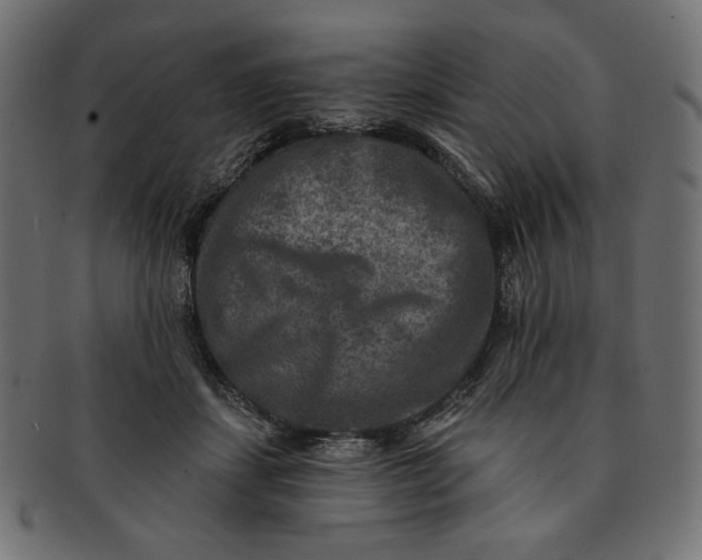 X0000091850459200709261210