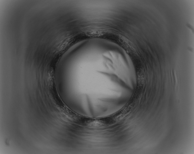 X0000091850460200709261211