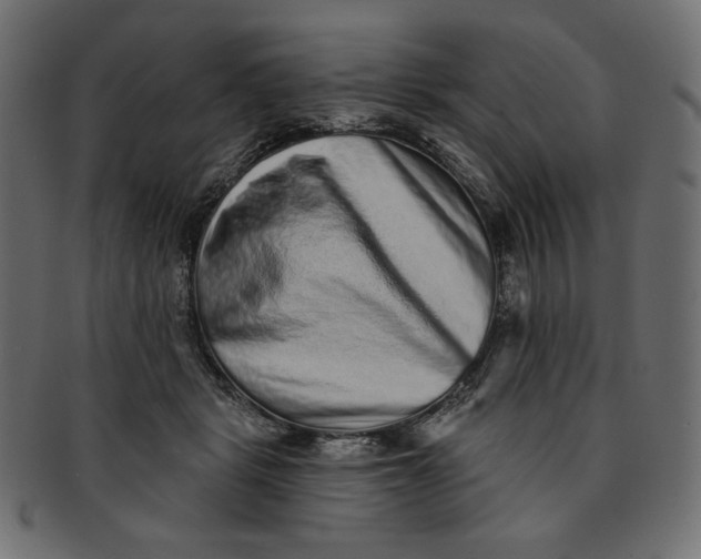 X0000091850461200709261211