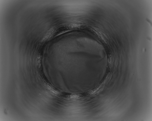 X0000091850462200709261211