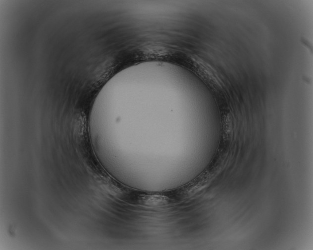 X0000091850463200709261211