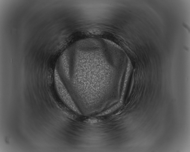 X0000091850464200709261211