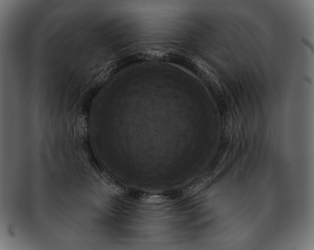 X0000091850467200709261211