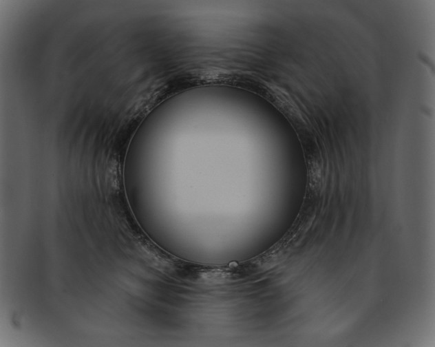 X0000091850470200709261211