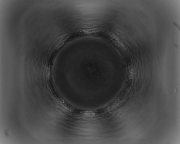 X0000091850471200709261211