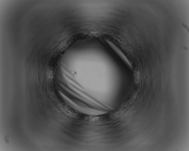 X0000091850472200709261211