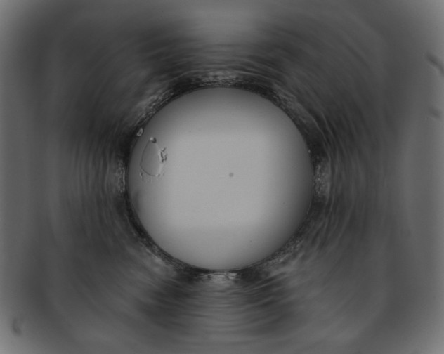 X0000091850474200709261211