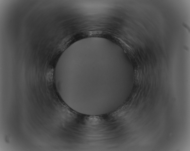 X0000091850475200709261211