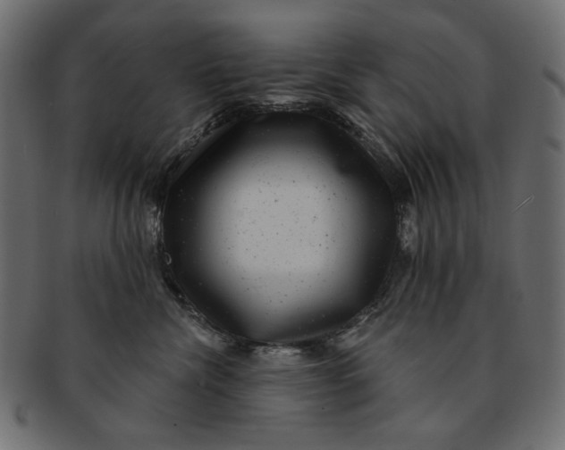 X0000091850476200709261211