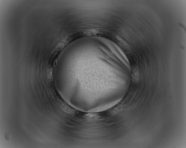 X0000091850477200709261211