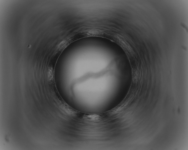 X0000091850478200709261211