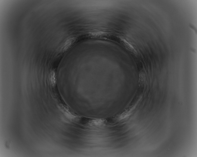 X0000091850479200709261211