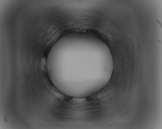 X0000091850480200709261211