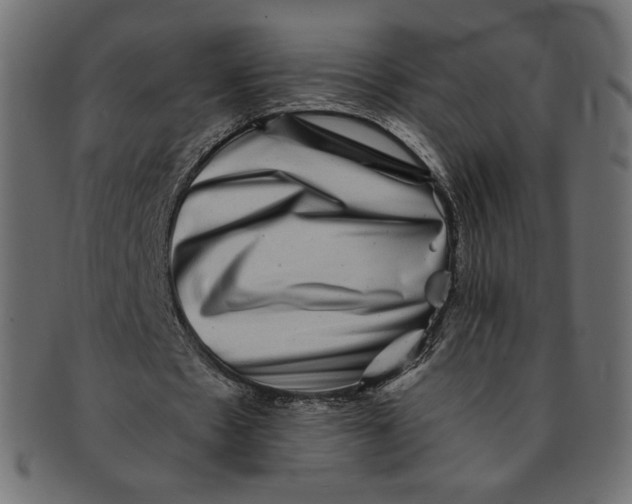 X0000091850481200709261210