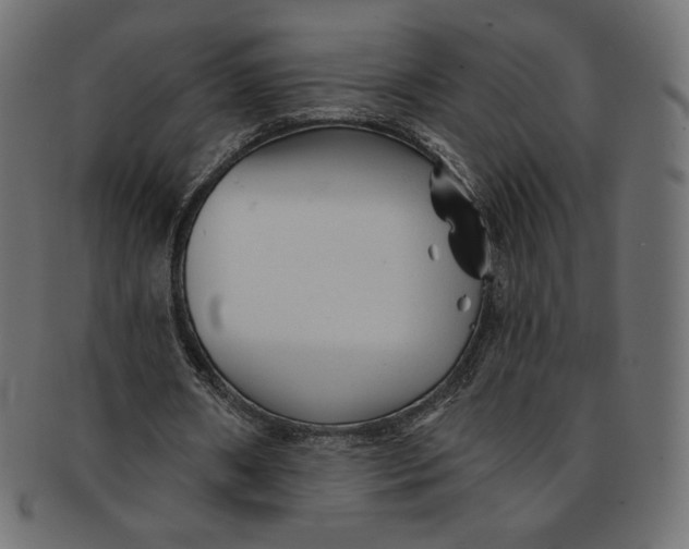 X0000091850482200709261210