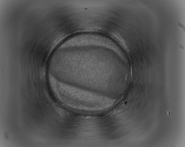 X0000091850483200709261210