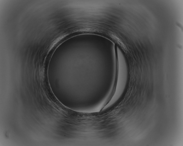 X0000091850484200709261210