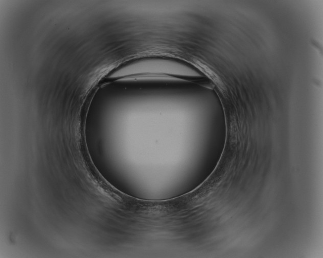 X0000091850485200709261210