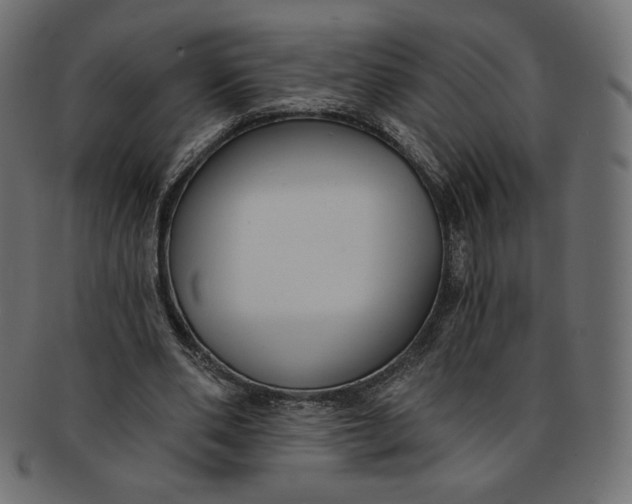 X0000091850486200709261210