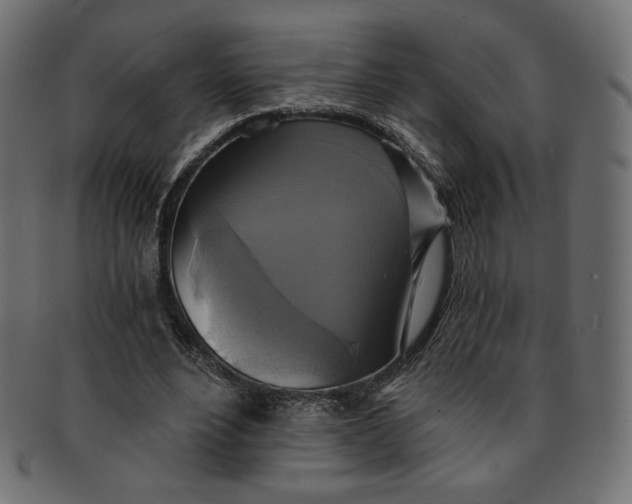 X0000091850488200709261210