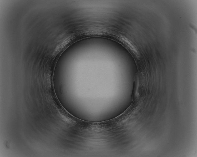 X0000091850489200709261210