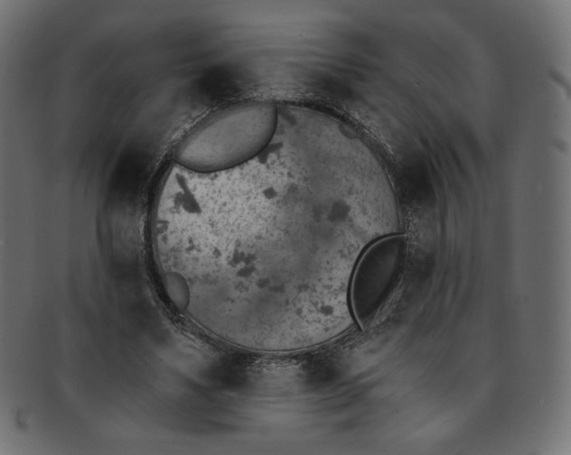 X0000091850491200709261210