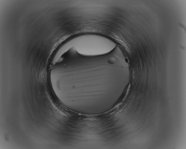 X0000091850492200709261210