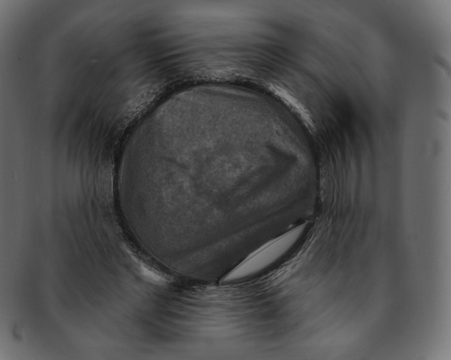 X0000091850493200709261210