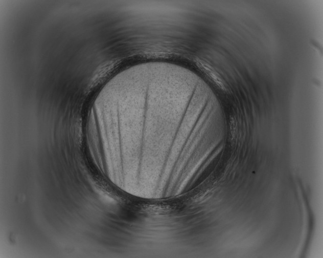 X0000091850494200709261210