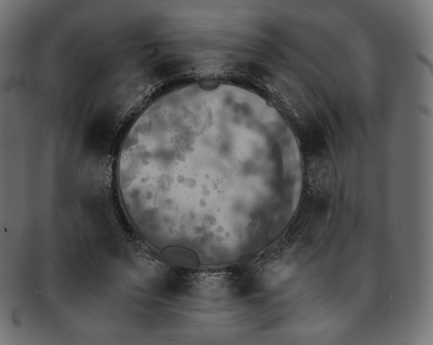 X0000091850495200709261210